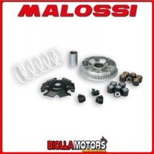 5115639 variator malossi - variator,