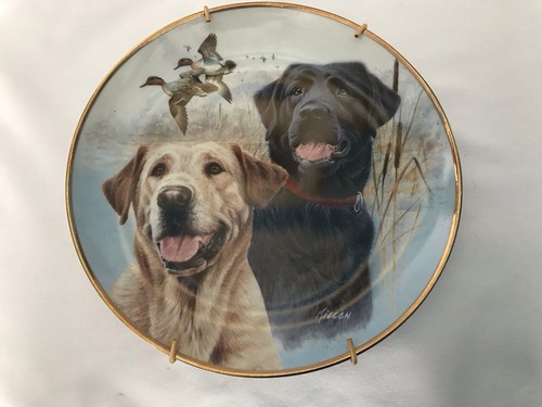 Danbury mint decorative plate - mint,