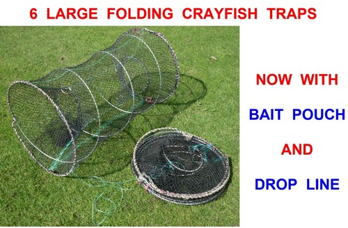 Large ron thompson crayfish - ron,