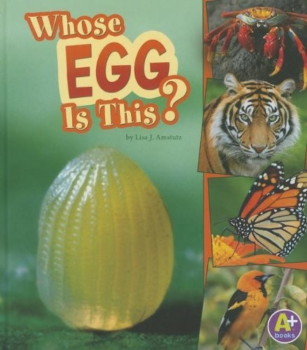 Whose egg this - egg, (nature