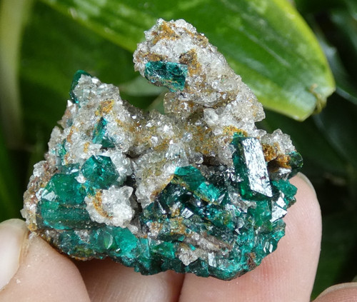 Dioptase quartz congo 3cm - &,