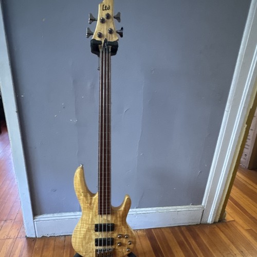 Esp ltd fretless bass - esp,