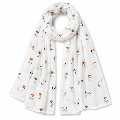 Jack russell terrier dog - terrier,