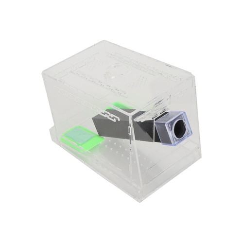 Acrylic cricket keeper with - cricket,