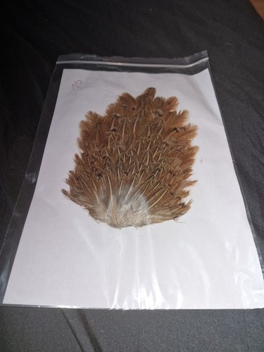 Large saddle hen hackles fly - large,