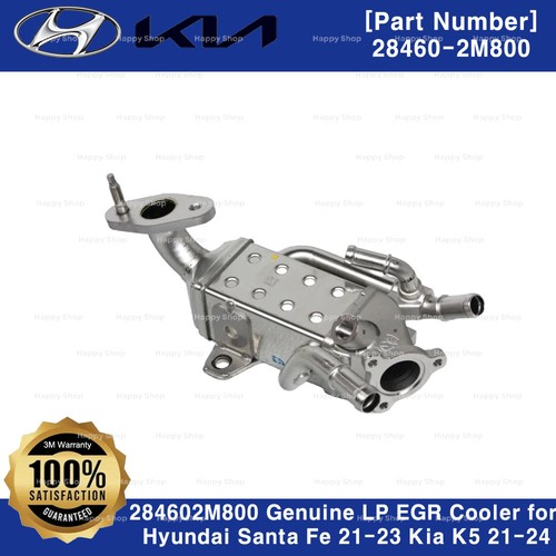 Oem 284602m800 genuine egr - genuine, lp