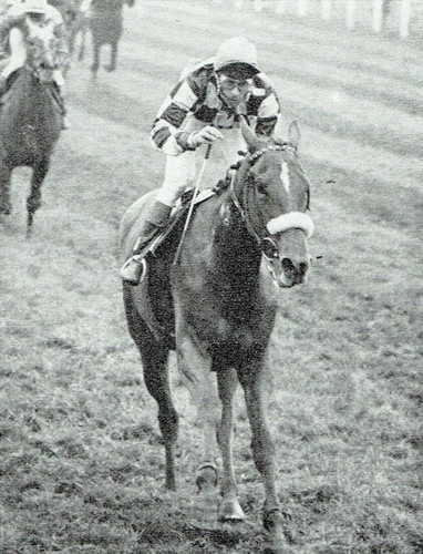 Hunsdon house stud mrs - house,
