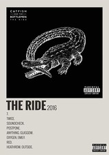 CATFISH AND THE  BOTTLEMEN -