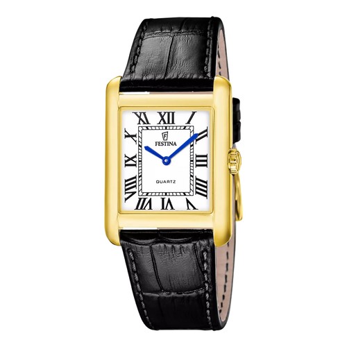 Festina gents grey - grey, the