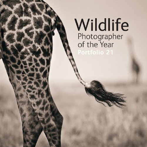 Wildlife photographer the - photographer, of
