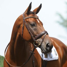 Passier snaffle bridle Ingrid