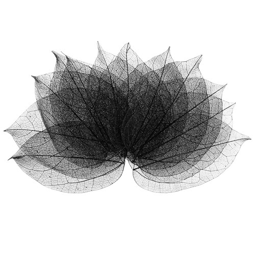 100 pack skeleton leaves - 100-pack,