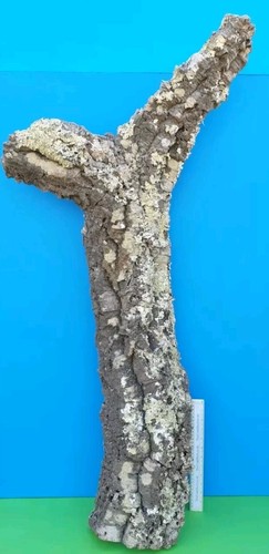 Cork bark flats - flats, basking