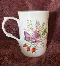 Rose of England Country Side