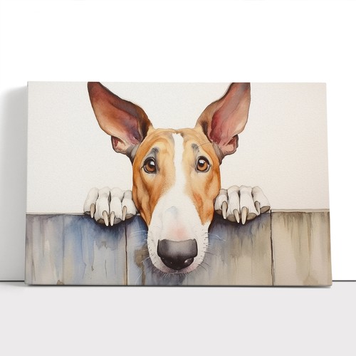 English bull terrier dog - bull,