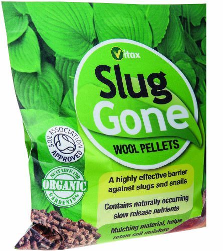 Vitax slug gone wool - slug,