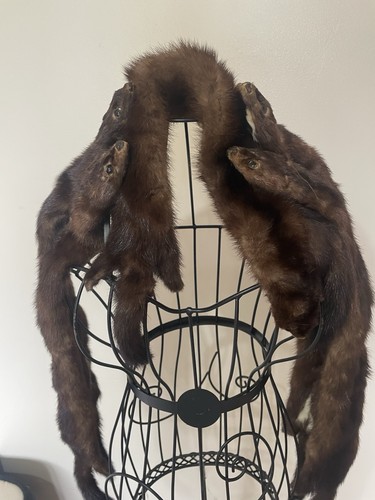 Vintage mink fur - mink, scarf