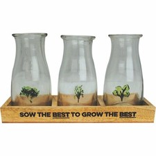 Bottles tray ornament - tray,
