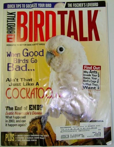 Bird talk magazine - *bird, feb