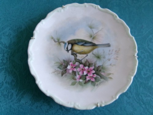 Decorative plate bone - -, china