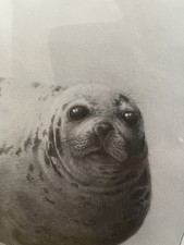 Gary Hodges - Under The Ice -