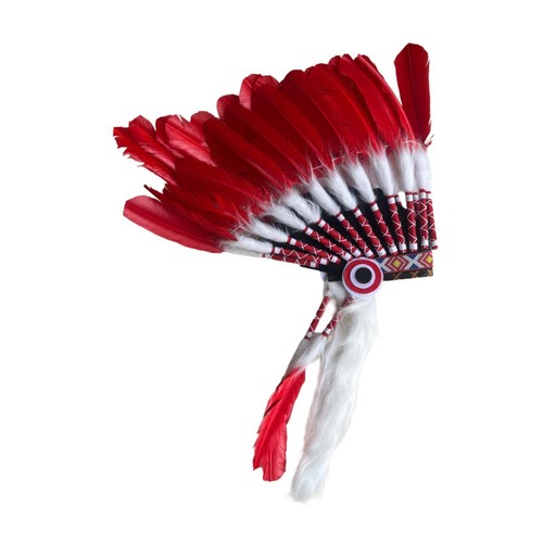 Indian inspired feather - indian,