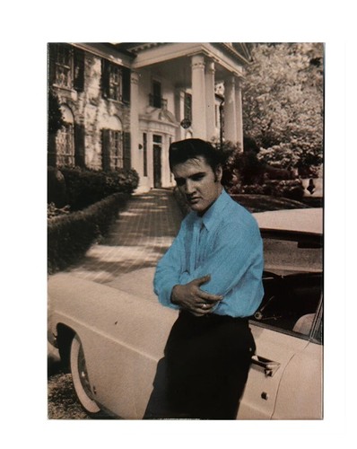 Elvis presley fridge magnet - elvis,