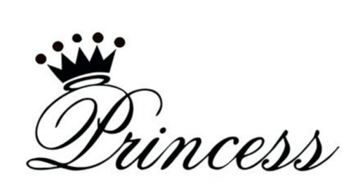 Princess vinyl sticker for - princess,