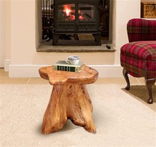 Natural Irregular Shape Tree