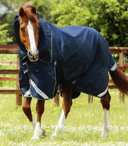 Premier equine titan 40g - titan,