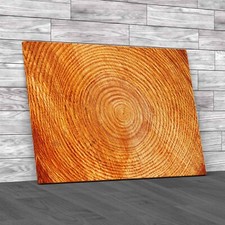 Abstract Wooden Tube Tree Trunk Crosssection Canvas Print Large Picture Wall Art