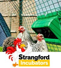 BEC 5KG Wise Feeder for