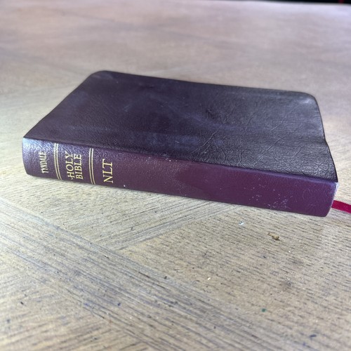 Holy bible new living - holy,