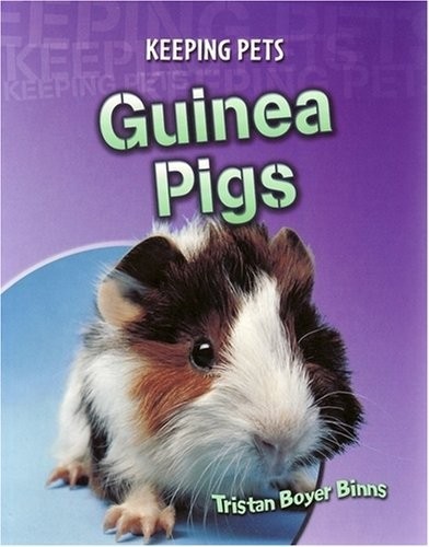 Guinea pigs by - guinea, pets)