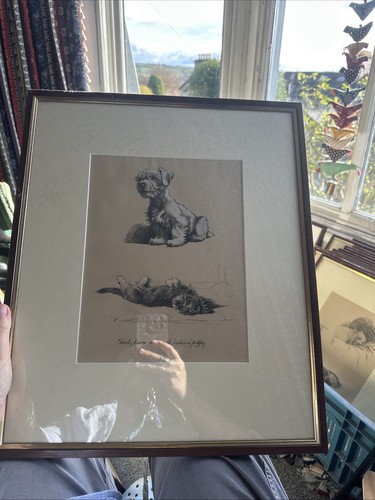 Cecil aldin framed print - cecil,