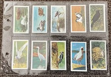 BROOKE BOND (TEA)-FULL SET- BRITISH BIRDS FRANCIS PITT 1954,  GOOD CONDITION 