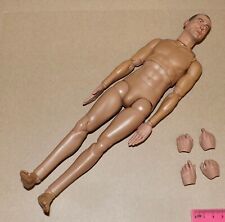 1/6 Scale Dragon In Dreams DID