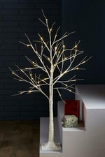 Birch Tree Christmas