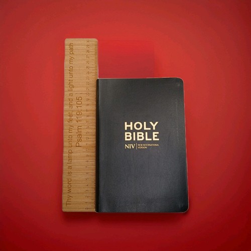 Niv holy bible cross - niv,