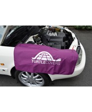 Turtle Covers Purple Wing