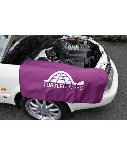 Turtle covers purple wing - turtle,