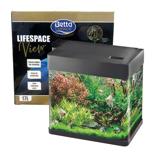 Betta choice lifespace - betta, view