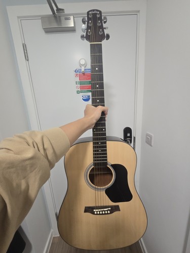 Walden d450 acoustic guitar - walden,