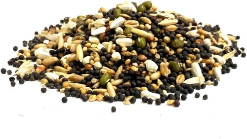5kg soak seed mixed - seed,