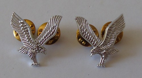 Army air corps collar - air, badges
