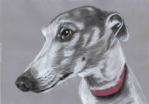 Original colour pencil - , artwork