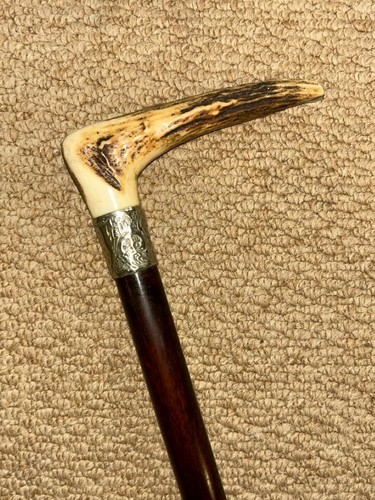 Antique snakewood walking - snakewood,