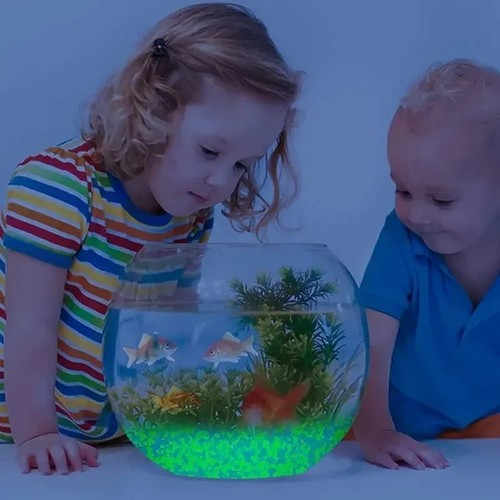 Luminous glow dark pebbles - luminous,