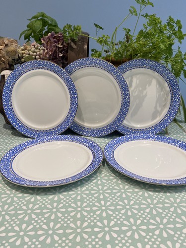 Set burslem blue and - 5,
