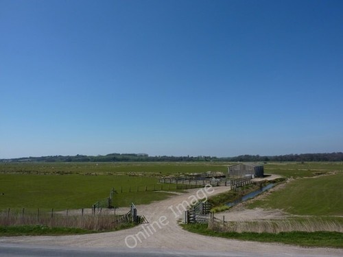 Photo 6x4 pett level - 6x4,